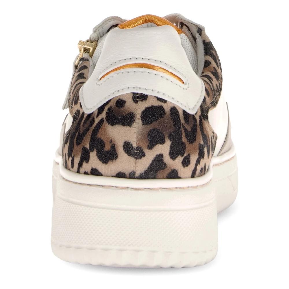 Gabor Plateausneaker Freizeitschuh Halbschuh Schnürer mit Kontastbesätzen Weite K im Angebot