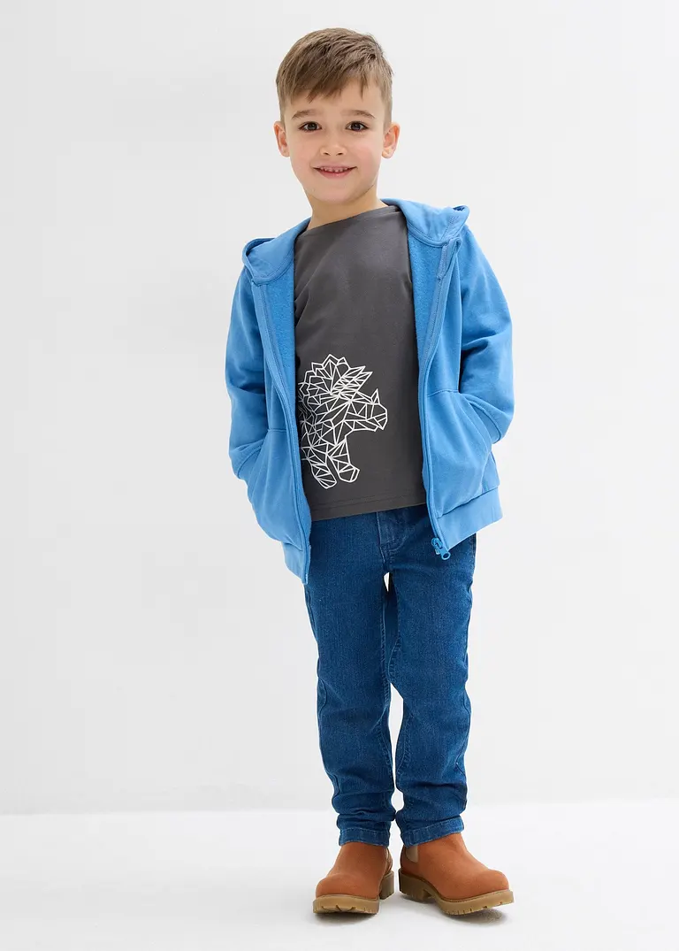 bonprix Cooles Jungen Langarmshirt mit einem großen Dino-Druck - grau Bis zu 50% Rabatt